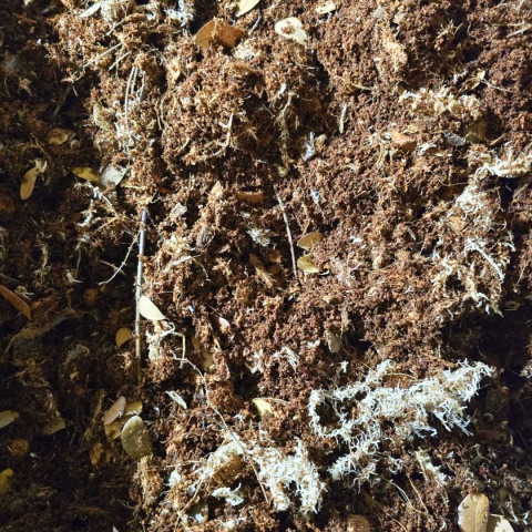 EXO PLANET Jungle Forest Substrate - podłoże leśnej dżungli 5L EXO PLANET Jungle Forest Substrate - podłoże leśnej dżungli 5L