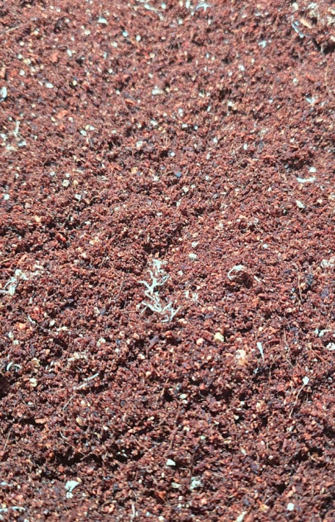EXO PLANET Tropical Spiders Substrate - gotowe podłoże dla pająków 5L EXO PLANET Tropical Spiders Substrate - gotowe podłoże dla pająków 5L