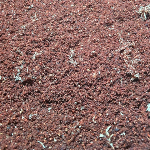 EXO PLANET Tropical Spiders Substrate - gotowe podłoże dla pająków 5L EXO PLANET Tropical Spiders Substrate - gotowe podłoże dla pająków 5L