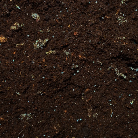 EXO PLANET Tropical Substrate Soil - podłoże tropikalne do terrarium 5L EXO PLANET Tropical Substrate Soil - podłoże tropikalne do terrarium 5L
