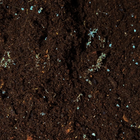 EXO PLANET Tropical Substrate Soil - podłoże tropikalne do terrarium 5L EXO PLANET Tropical Substrate Soil - podłoże tropikalne do terrarium 5L
