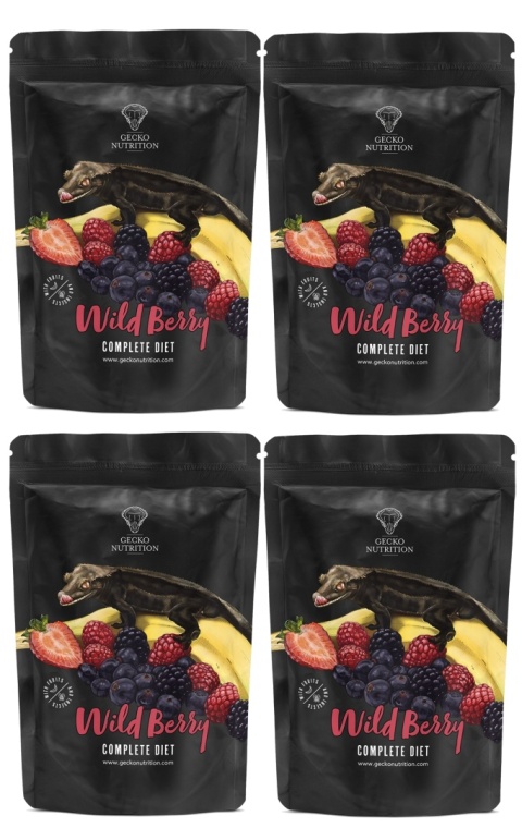 Gecko Nutrition Wildberry - Owoce leśne 2 kg Gecko Nutrition Wildberry - Owoce leśne 2 kg