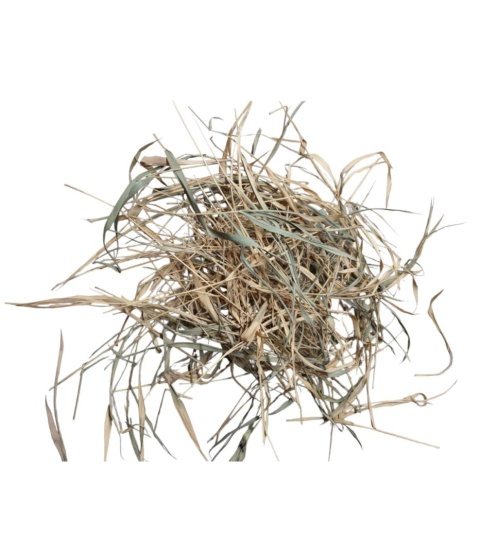 EXO PLANET Bamboo Leaves – liście bambusa 40g EXO PLANET Bamboo Leaves – liście bambusa 40g