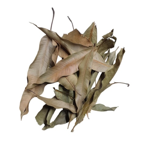 EXO PLANET Mango Leaves – liście mango 40g EXO PLANET Mango Leaves – liście mango 40g