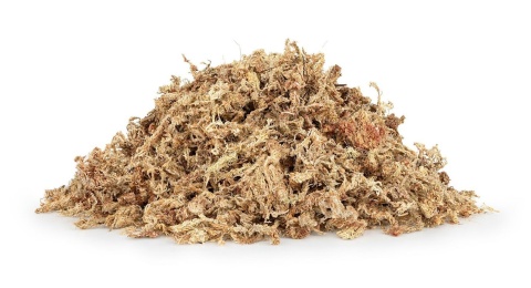 EXO PLANET Mech torfowiec Sphagnum moss 5000ml EXO PLANET Mech torfowiec Sphagnum moss 5000ml