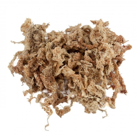 EXO PLANET Mech torfowiec Sphagnum moss 50g / 2000ml EXO PLANET Mech torfowiec Sphagnum moss 50g / 2000ml