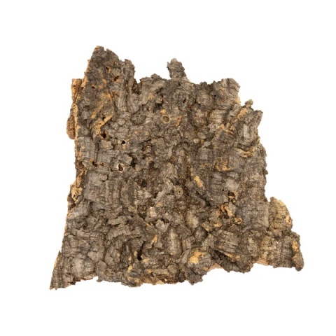 Płat korka rozmiar S (10-15cm)