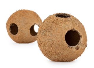 EXO PLANET Skorupa kokosa naturalna - naturalna kryjówka