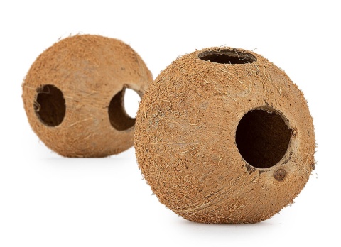 EXO PLANET Skorupa kokosa naturalna - naturalna kryjówka