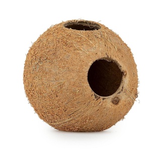 EXO PLANET Skorupa kokosa naturalna - naturalna kryjówka