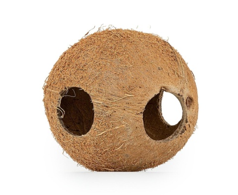 EXO PLANET Skorupa kokosa naturalna - naturalna kryjówka
