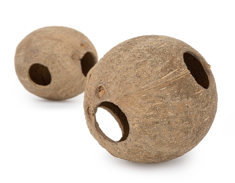 EXO PLANET Skorupa kokosa szczotkowana - naturalna kryjówka EXO PLANET Skorupa kokosa szczotkowana - naturalna kryjówka