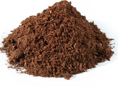 EXO PLANET Spider Substrate - gotowe podłoże dla pająków 2L EXO PLANET Spider Substrate - gotowe podłoże dla pająków 2L