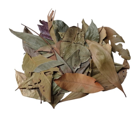 EXO PLANET Jungle Mix Leaves – liście z dżungli 40g EXO PLANET Jungle Mix Leaves – liście z dżungli 40g