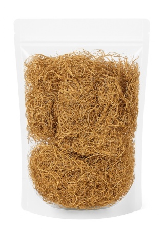 EXO PLANET Curly Moss