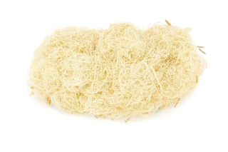 EXO PLANET Curly Moss bielony