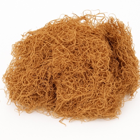 EXO PLANET Curly Moss EXO PLANET Curly Moss