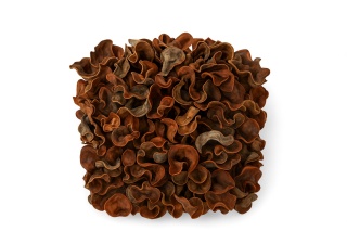 EXO PLANET Curly Pods