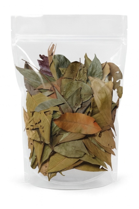 EXO PLANET Jungle Mix Leaves – liście z dżungli 40g EXO PLANET Jungle Mix Leaves – liście z dżungli 40g