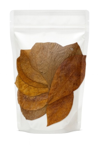 EXO PLANET Ketapang Leaves - liście migdałecznika 10 szt
