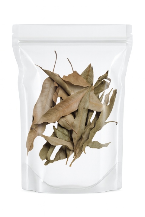 EXO PLANET Mango Leaves – liście mango 40g EXO PLANET Mango Leaves – liście mango 40g