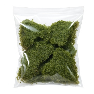 EXO PLANET Mech naturalny płaski do terrarium 50g