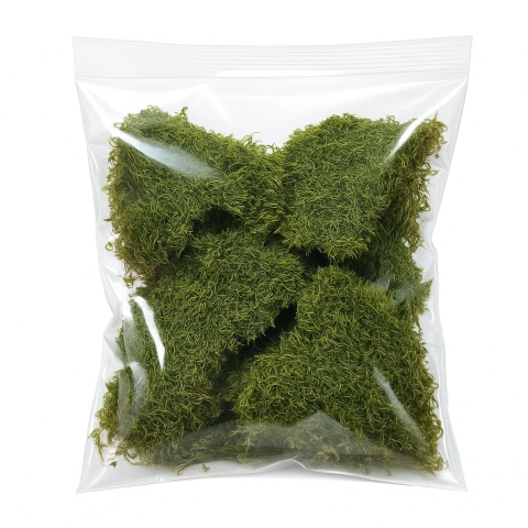 EXO PLANET Mech naturalny płaski do terrarium 50g