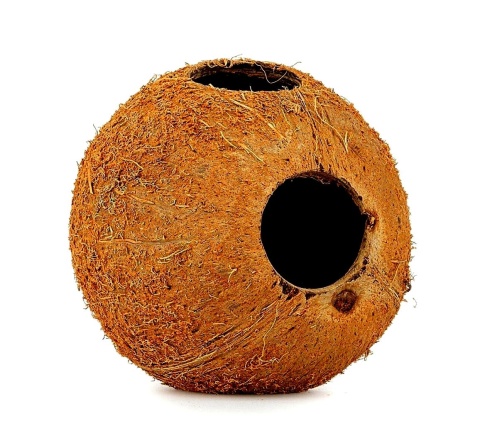 EXO PLANET Skorupa kokosa naturalna - naturalna kryjówka EXO PLANET Skorupa kokosa naturalna - naturalna kryjówka