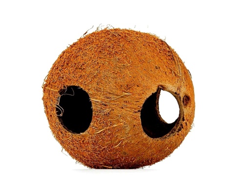 EXO PLANET Skorupa kokosa naturalna - naturalna kryjówka EXO PLANET Skorupa kokosa naturalna - naturalna kryjówka