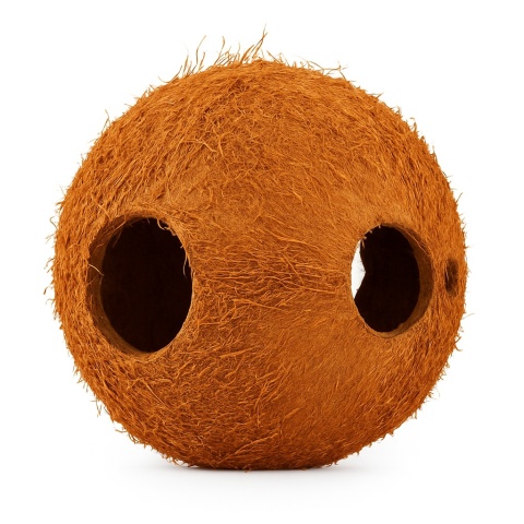 EXO PLANET Skorupa kokosa naturalna - naturalna kryjówka EXO PLANET Skorupa kokosa naturalna - naturalna kryjówka