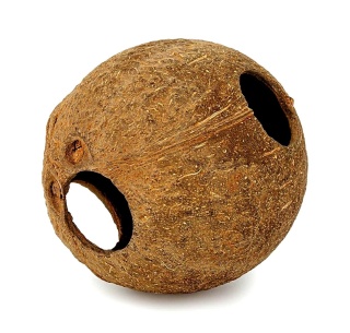 EXO PLANET Skorupa kokosa pełna szczotkowana - naturalna kryjówka