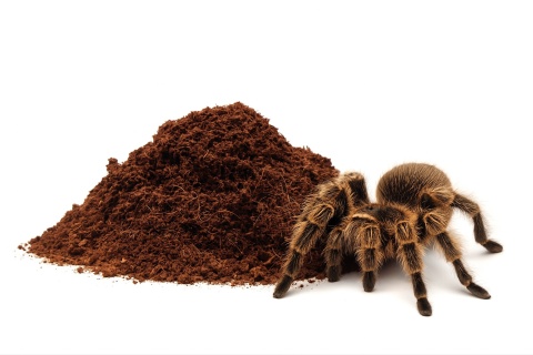 EXO PLANET Spider Substrate - gotowe podłoże dla pająków 2L