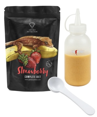 Gecko Nutrition Zestaw: Truskawka 50g + Butelka do wyciskania pokarmów 100ml + Łyżeczka-miarka MiniSpoon