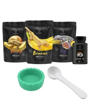 Gecko Nutrition Zestaw Startowy (3 pokarmy + wapno D3 + miseczka + łyżeczka)
