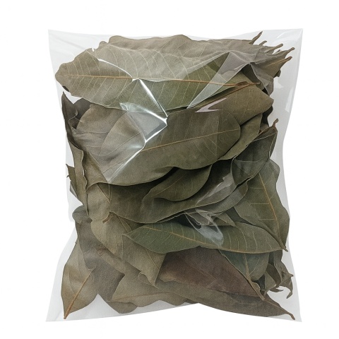 EXO PLANET Longan leaves - liście longanu 40g