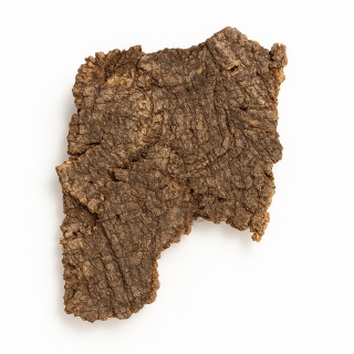 Płat korka rozmiar M (15-20cm)