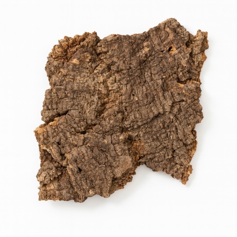 Płat korka rozmiar S (10-15cm)