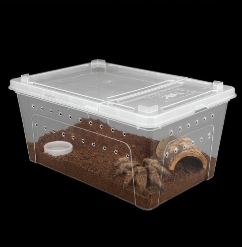 Pojemnik hodowlany Breeding Box 19 cm Pojemnik hodowlany Breeding Box 19 cm