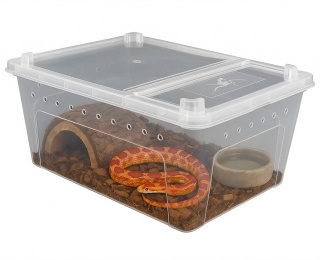 Pojemnik hodowlany Breeding Box 32 cm