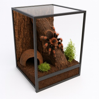 Terrarium szklane ramkowe 15x15x25cm gilotyna - czarne