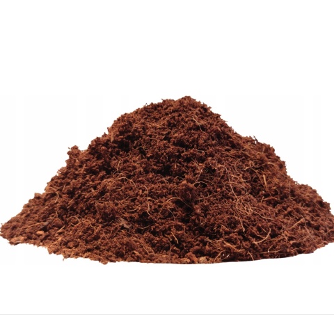 Torf kokosowy - dysk 5 x 110g Torf kokosowy - dysk 5 x 110g