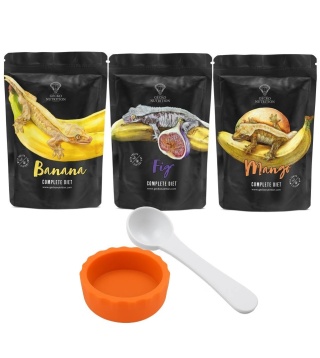 Gecko Nutrition Zestaw 3 pokarmy 50g + miseczka pomarańczowa + łyżeczka-miarka