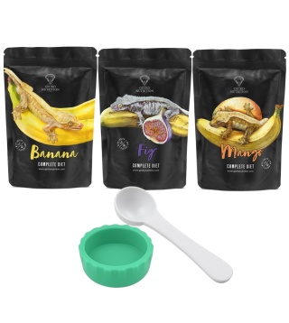 Gecko Nutrition Zestaw 3 pokarmy 50g + miseczka zielona + łyżeczka-miarka