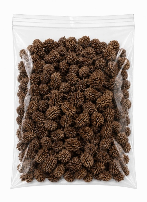 EXO PLANET Casurina Pods - 50g