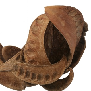 EXO PLANET Elephant Ear 10-15cm - 3 szt