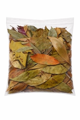 EXO PLANET Jungle Mix Leaves – liście z dżungli 20g