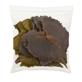 EXO PLANET Lili Leaves ok.18cm - liście lilii 5 szt.