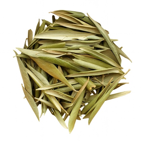 EXO PLANET Olive Leaves - Liście oliwne 20g