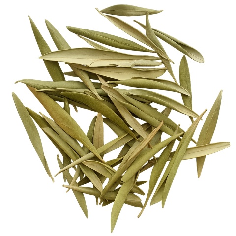 EXO PLANET Olive Leaves - Liście oliwne 20g