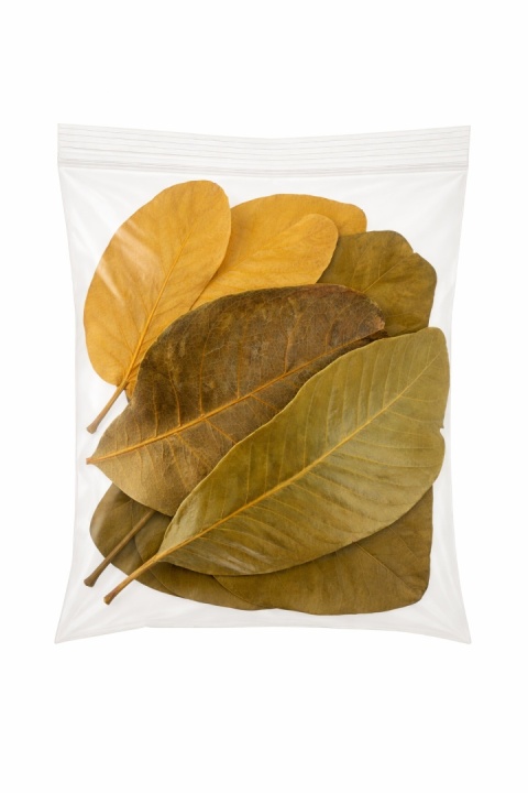 EXO PLANET Mandioca Leaves – liście Manioku 20g